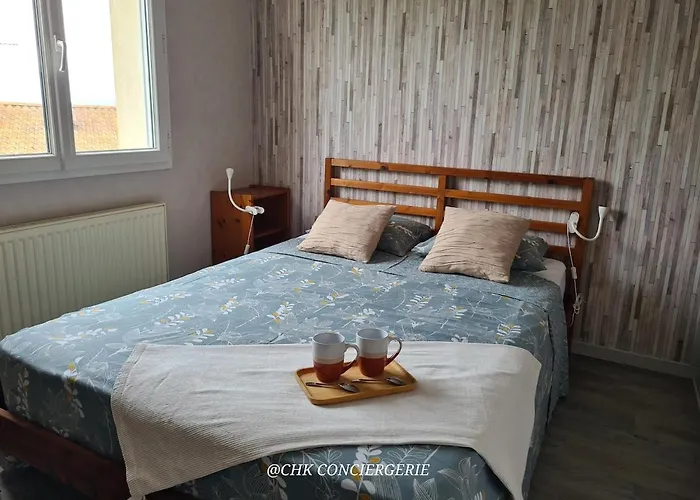 Chez Caco Maison Lumineuse Avec Jardin Proche Du Puy Dufou Hébergement de vacances Les Herbiers